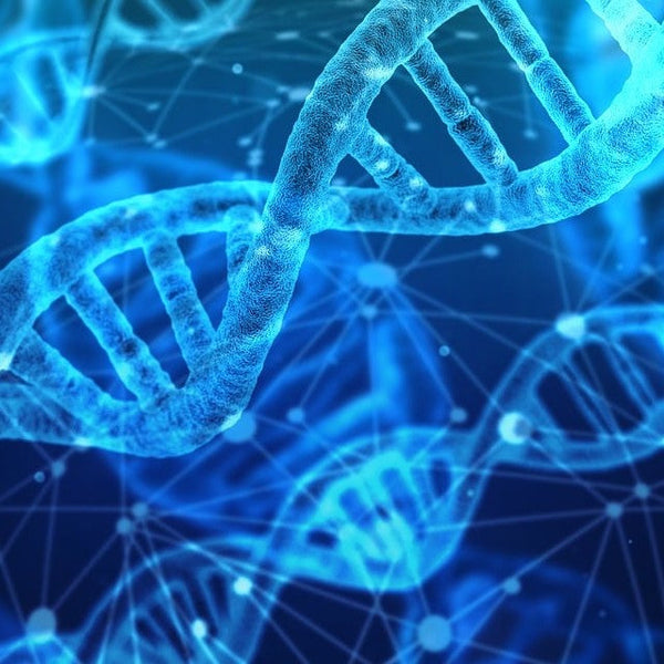 Polynucleotides at The MW Clinic London